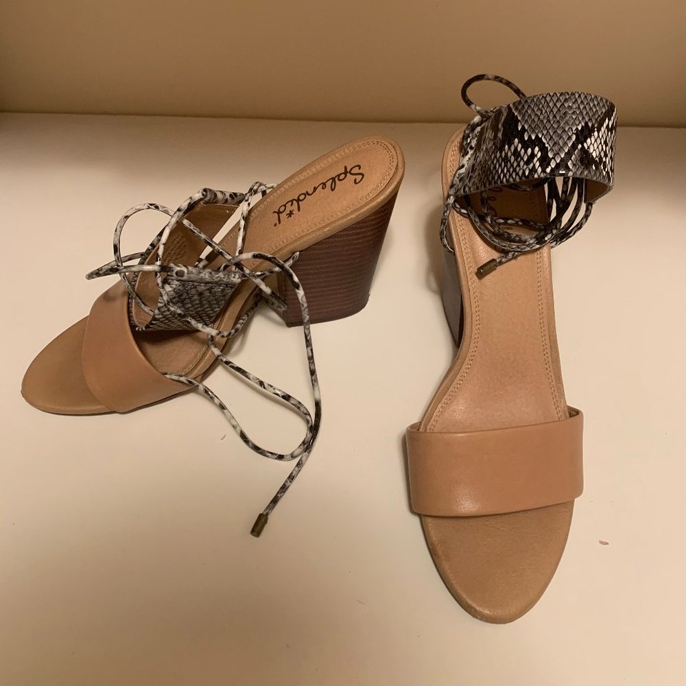 Splendid Lace Up Kenya Heel - 9.5